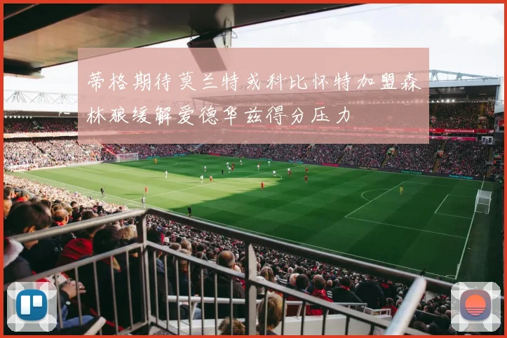 蒂格期待莫兰特或科比怀特加盟森林狼缓解爱德华兹得分压力