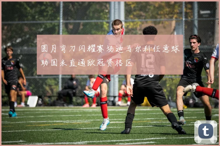 圆月弯刀闪耀赛场迪马尔科任意球助国米直通欧冠资格区
